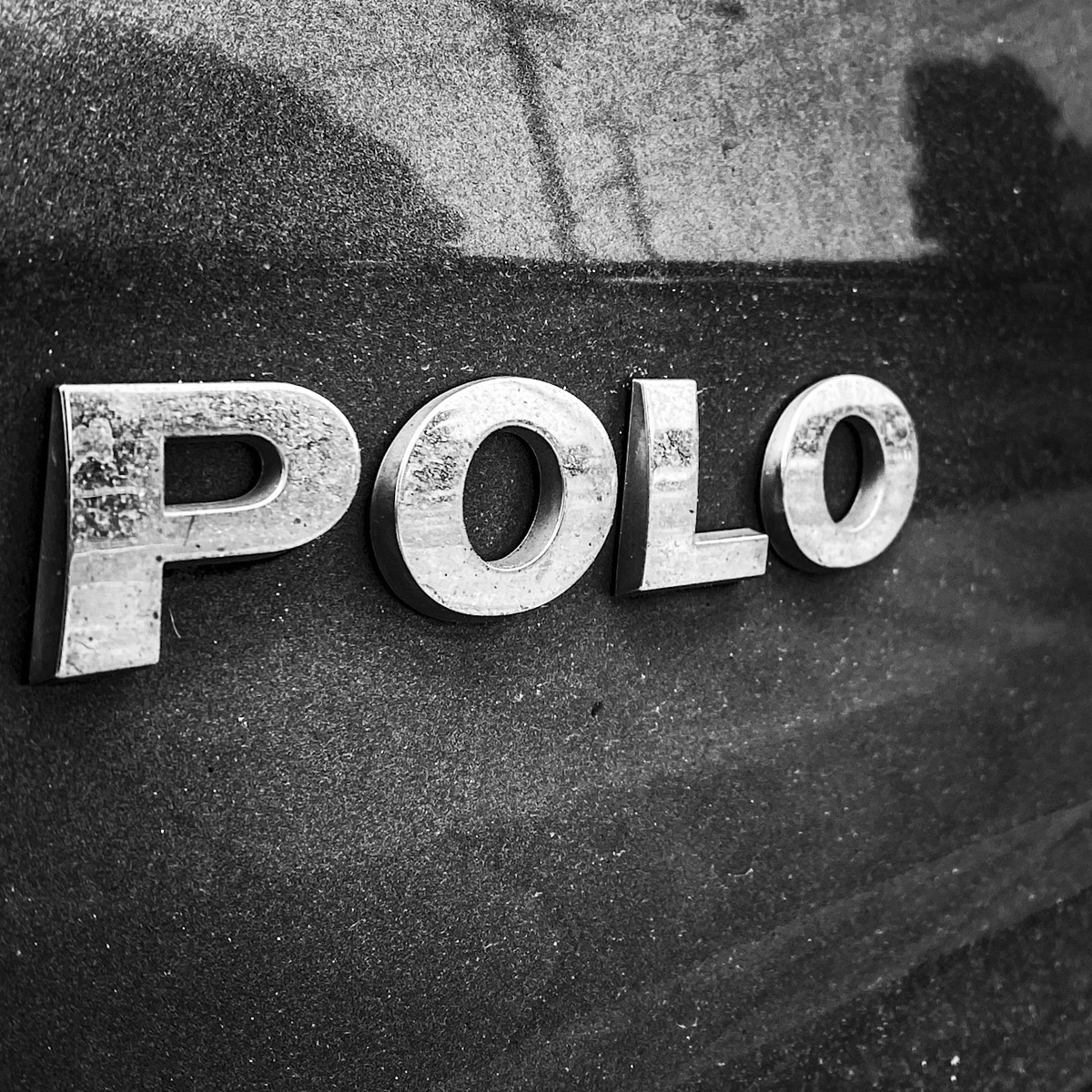 The Daily Foto
