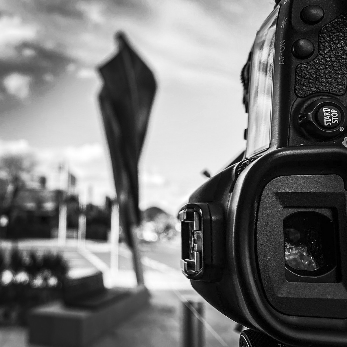 The Daily Foto