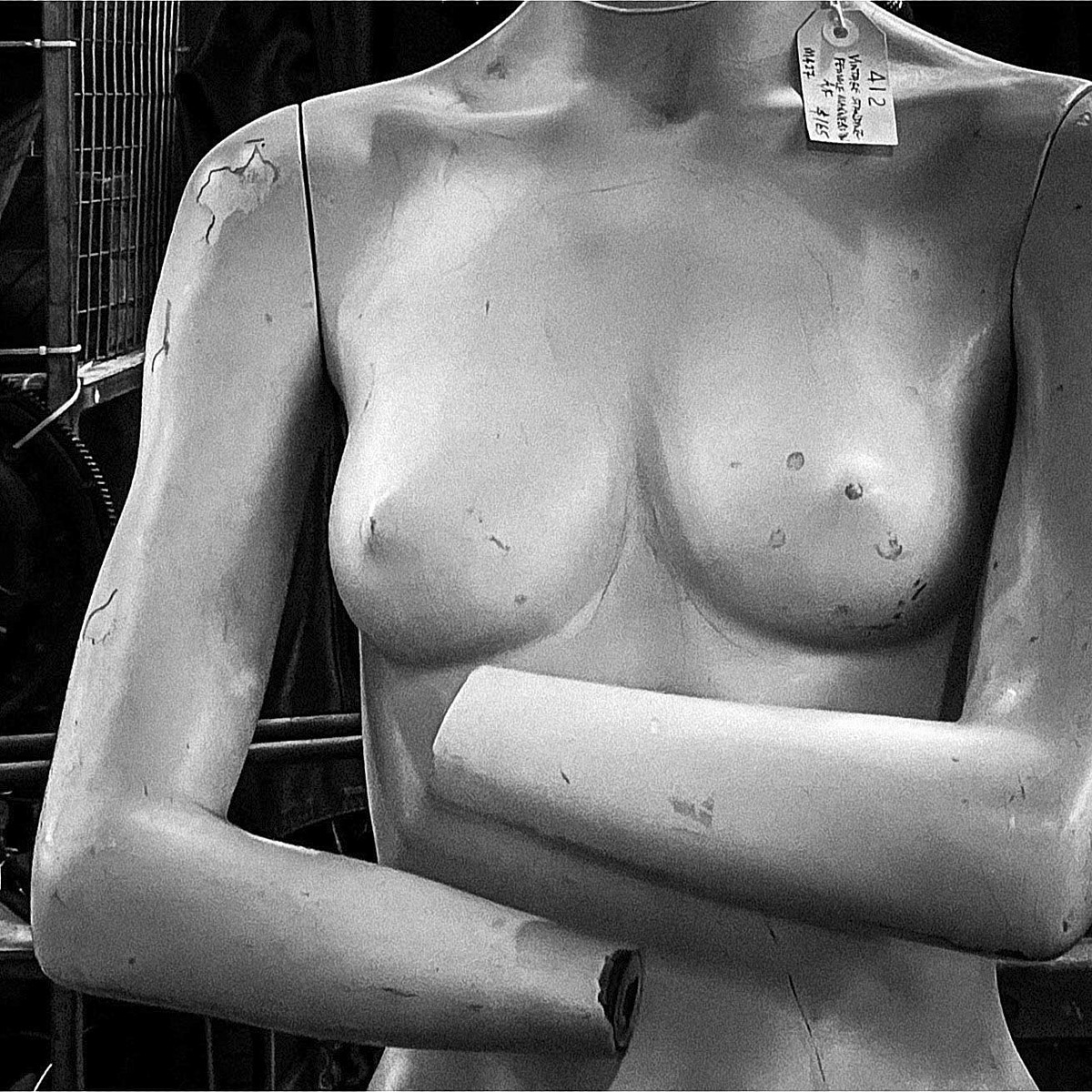 The Daily Foto