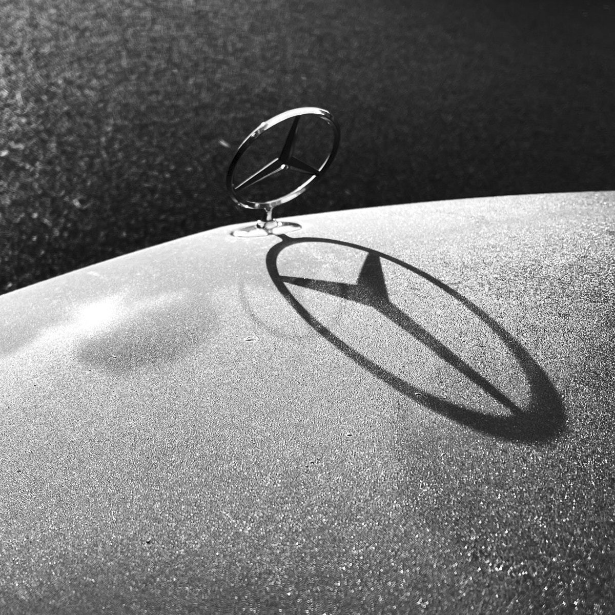The Daily Foto