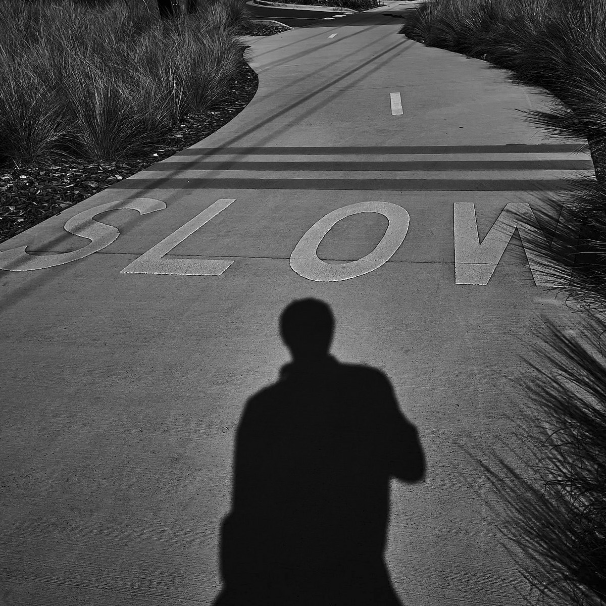 The Daily Foto