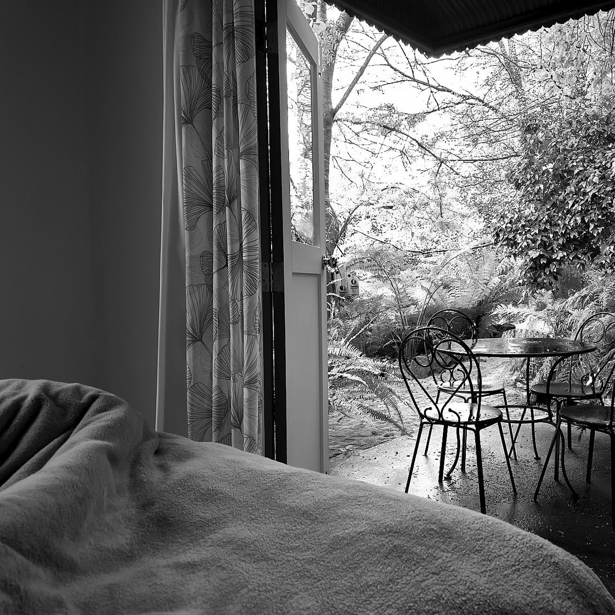 The Daily Foto